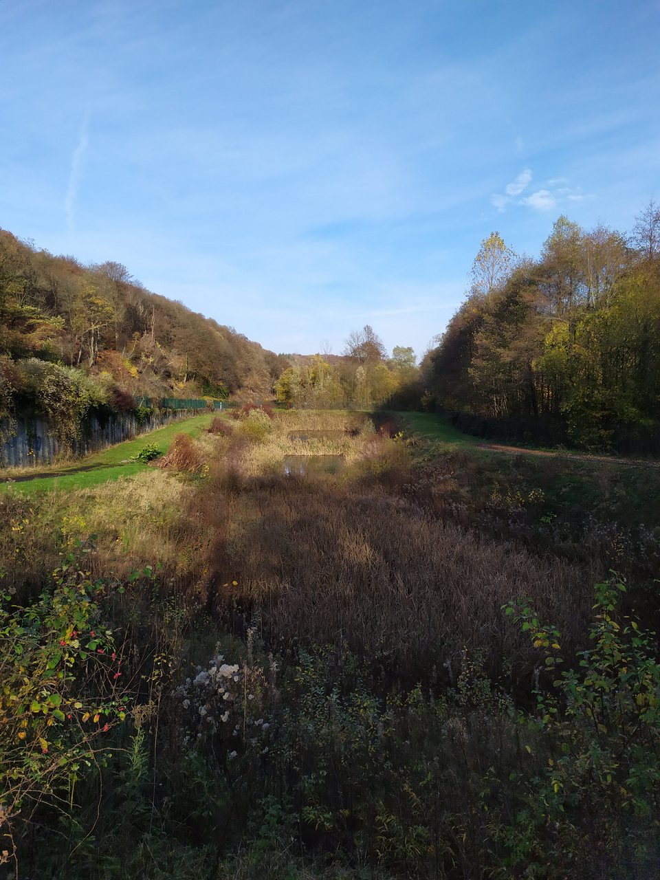 Regenauffangbecken zwischen A1 Wupperwanderer