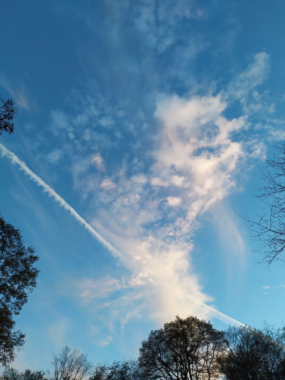 Kleingärten 4: Phänomenale Aussichten auf Wuppertal – Wupperwanderer